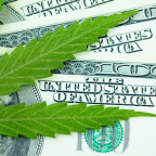 Bankruptcy Cannabis (Demo)