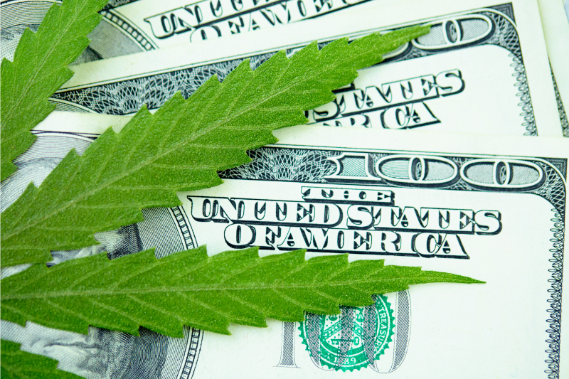 when-cannabis-and-cannabis-adjacent-businesses-burn-out-bankruptcy-courts-will-likely-leave-them-high-and-dry
