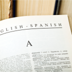 Limited English Proficiency (Demo)