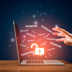 Credential Stuffing Passwords (Demo)