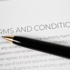 Seller Terms and Conditions (Demo)