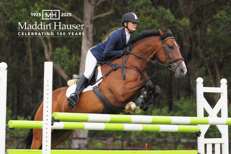 Handling Show Horse in Michigan Divorce (Demo)